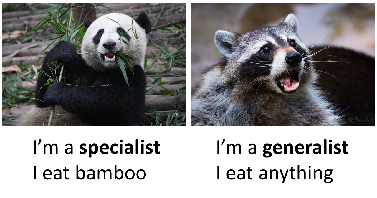 
                        generalist versus specialist
                     